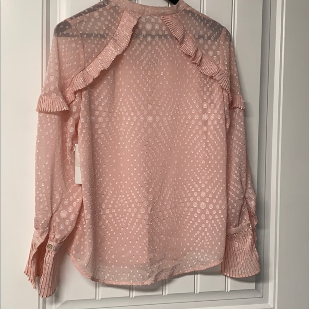 Semi-Sheer Ruffled Blouse - Picture 4 of 4